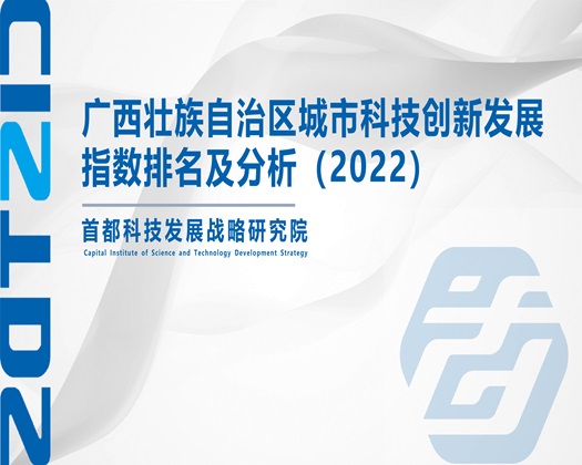 毛茸茸嘛批视频【成果发布】广西壮族自治区城市科技创新发展指数排名及分析（2022）